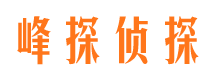 临港市调查公司